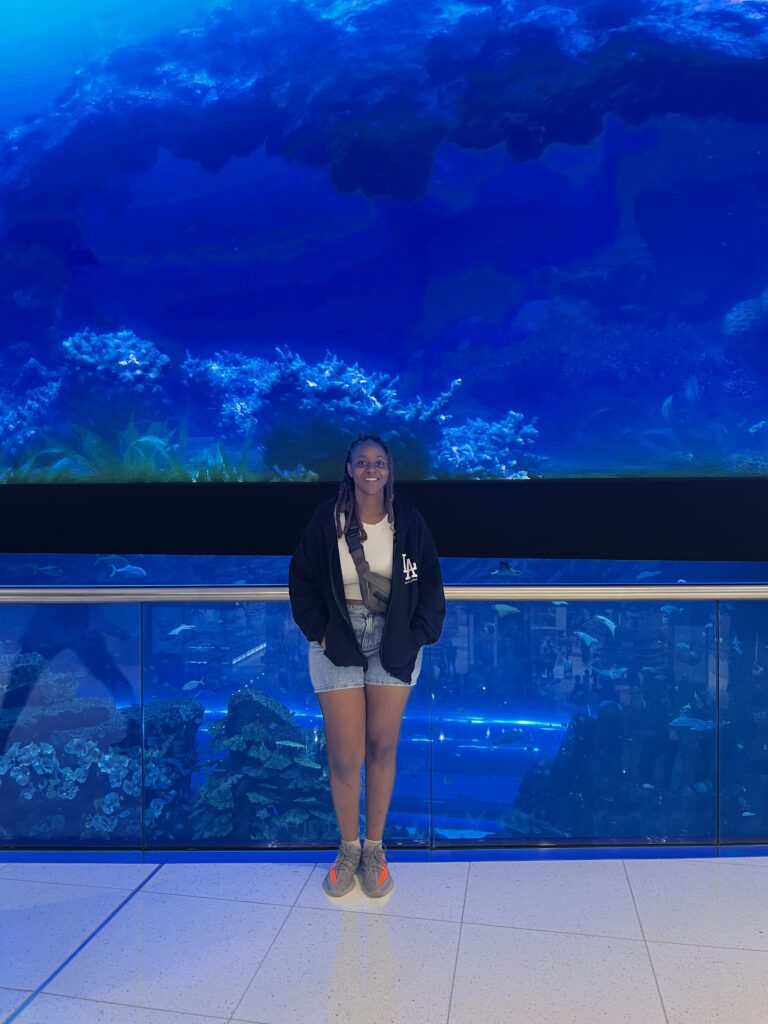 The Aquarium